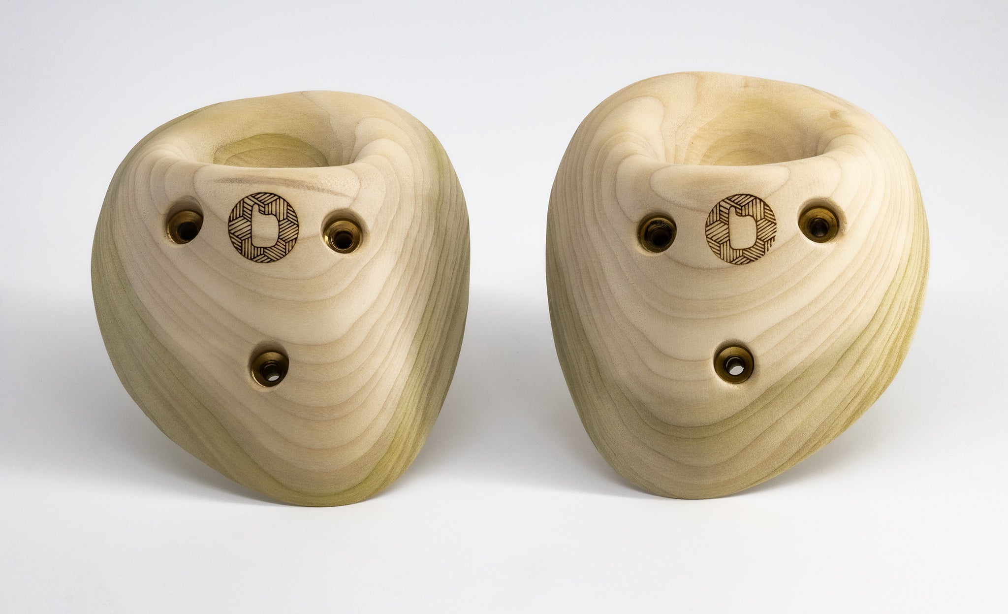 Deluxe Holds – beastmaker